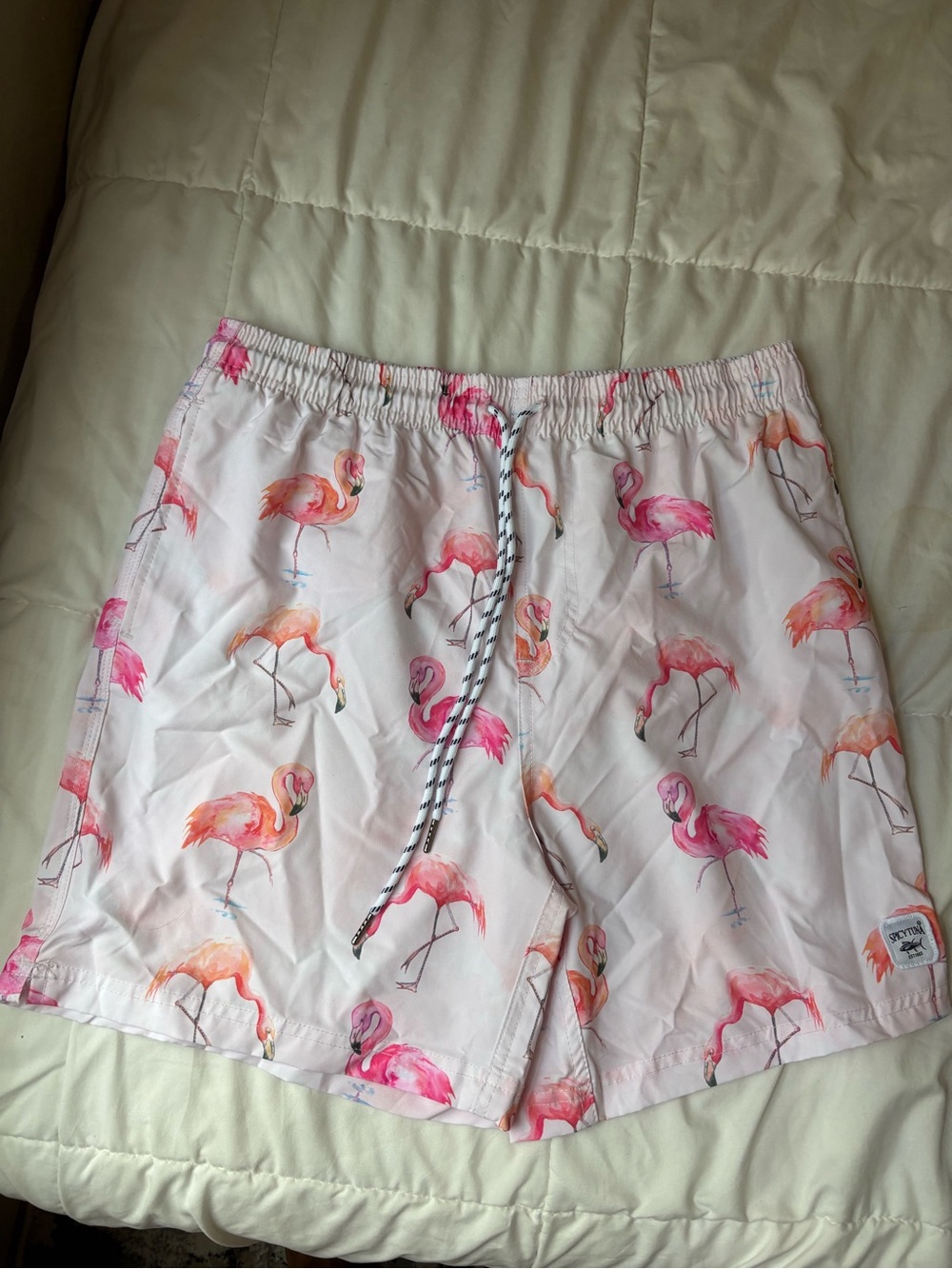Men's Pink Flamingo Print Swim Trunks with Drawstring Waist